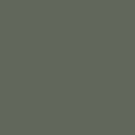 Olive0986A - ירוק עמוק
